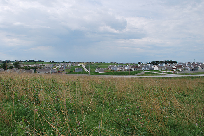 An urban neighborhood near a grassland.